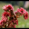 20080727_058